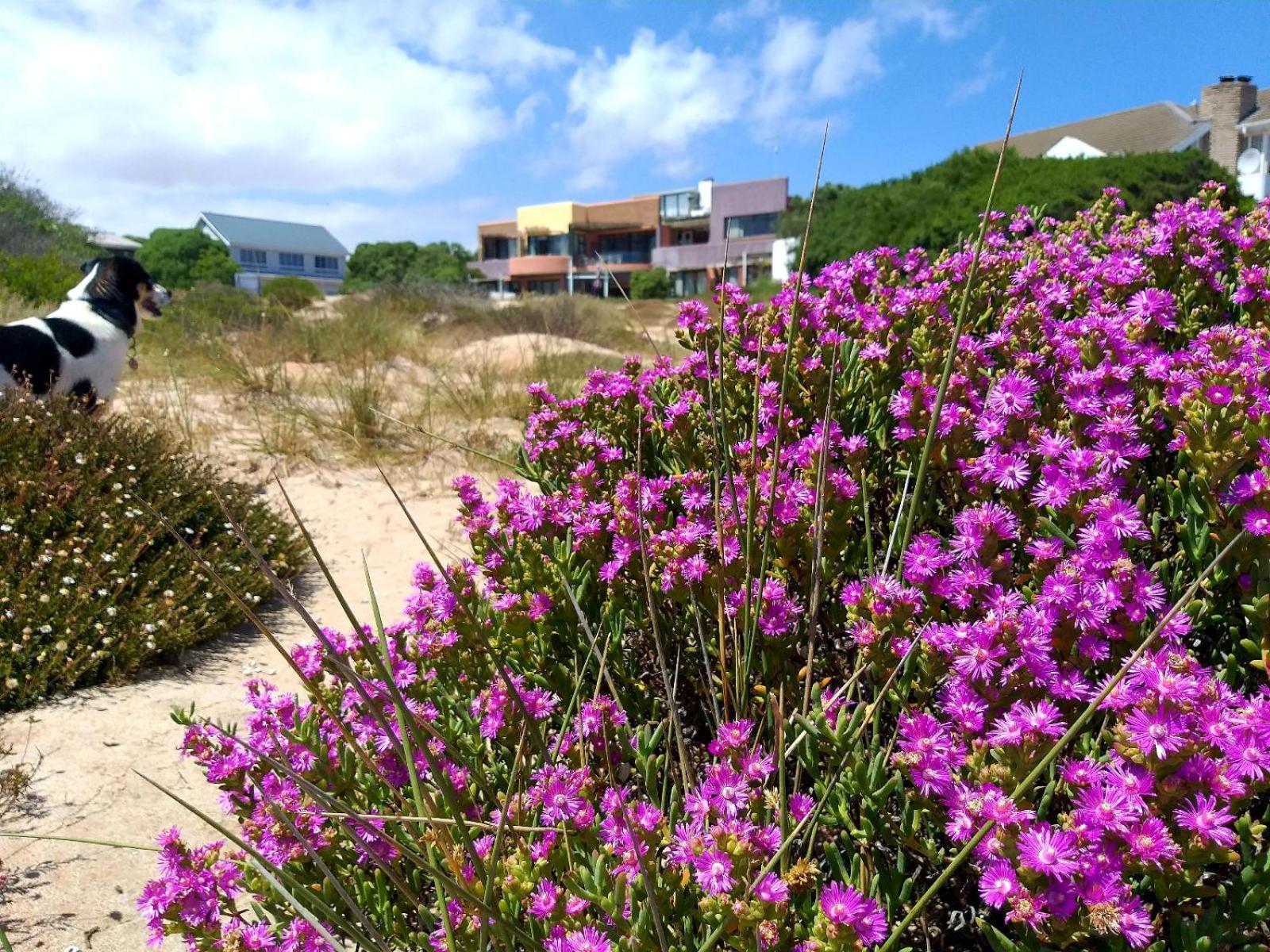 Absolute Beach Accommodation Stompneusbaai Экстерьер фото